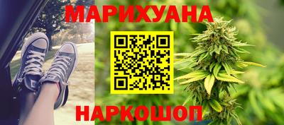 гашик Краснознаменск
