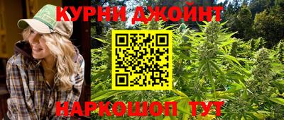 гашик Краснознаменск