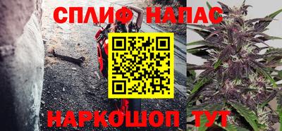 гашик Краснознаменск