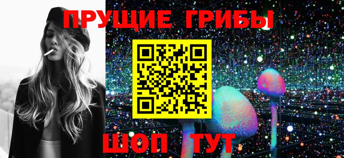 Псилоцибиновые грибы мухоморы  купить закладку  Псилоцибиновые грибы Cubensis  Конаково  Вход с VPN 