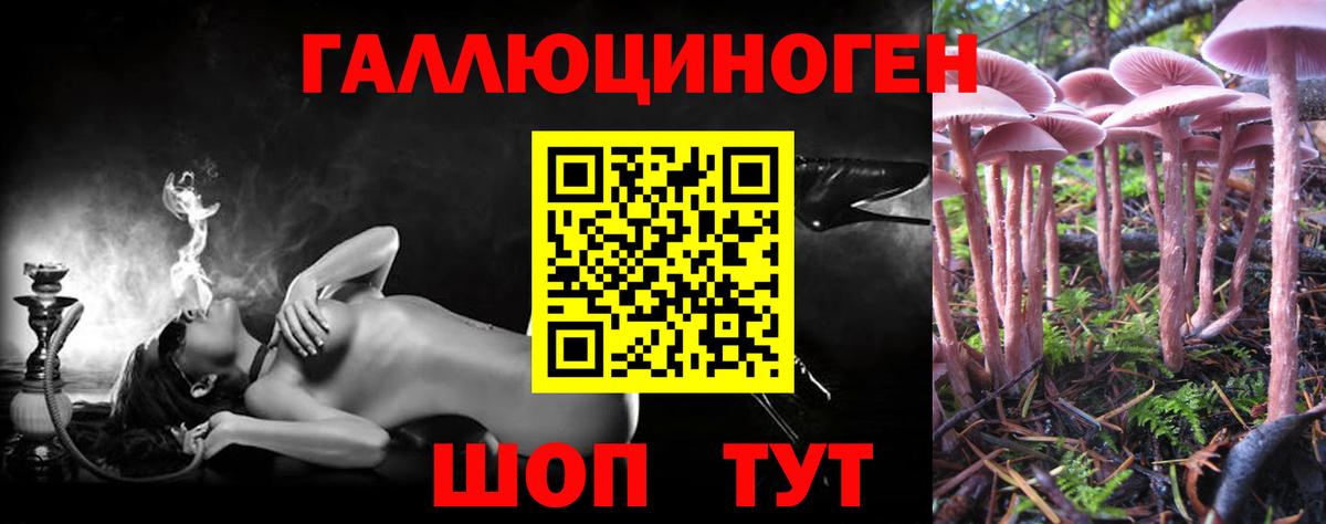 Псилоцибиновые грибы мухоморы Конаково